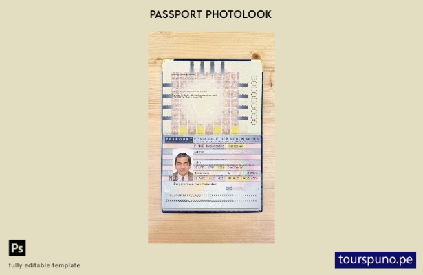 listo para imprimir plantilla de aspecto fotográfico del pasaporte de los Países